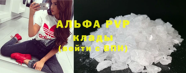 сатива Арсеньев