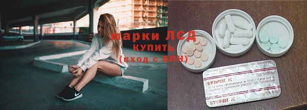 сатива Арсеньев