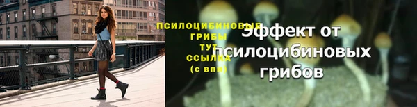 амф Аркадак