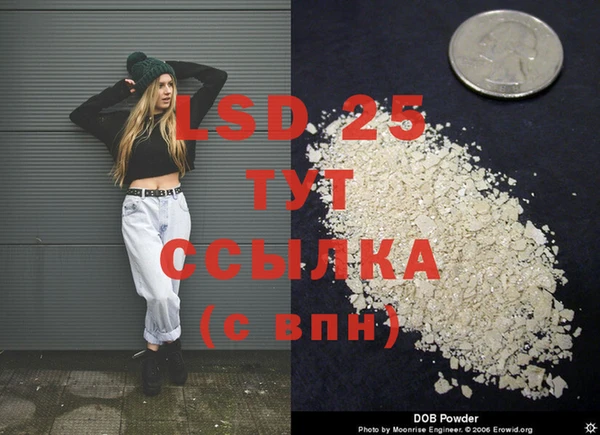 амф Аркадак