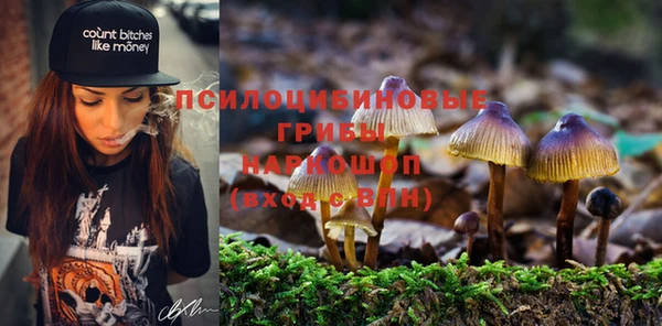 сатива Арсеньев