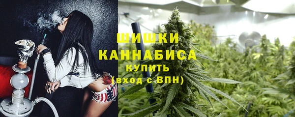 крисы Армянск