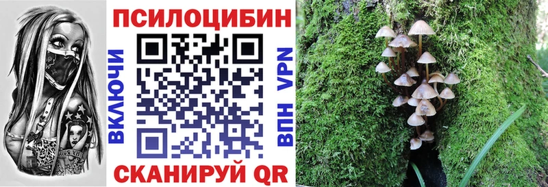 где купить   Пересвет  Галлюциногенные грибы MAGIC MUSHROOMS 